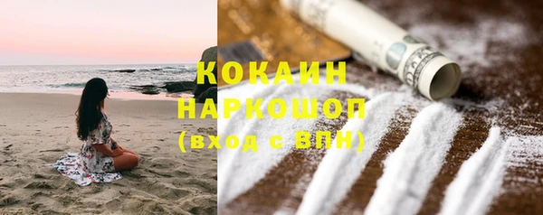 шишки Балахна