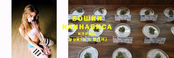 шишки Балахна