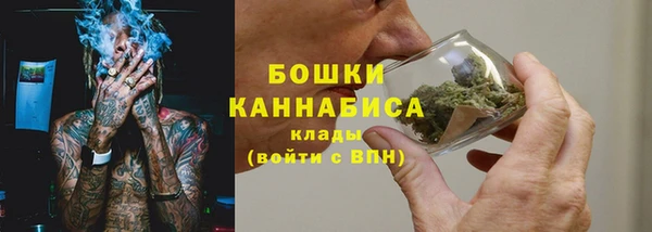 шишки Балахна