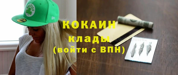 шишки Балахна