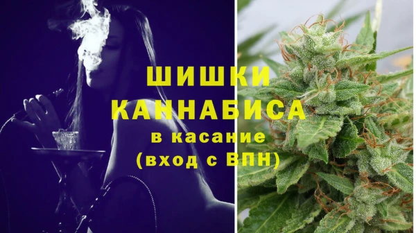 шишки Балахна
