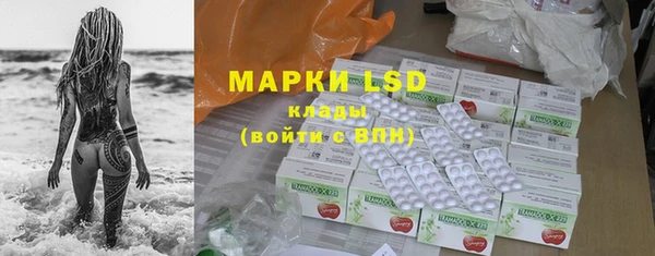 шишки Балахна