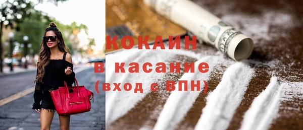 шишки Балахна