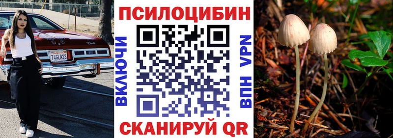 Купить где  Вятские Поляны  Галлюциногенные грибы мухоморы 